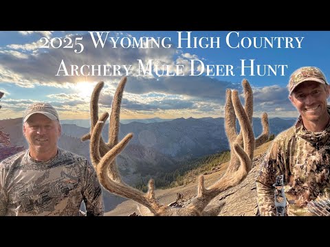 Видео: 2025 г., Вайоминг, Хай-Кантри, отец и сын, стрельба из лука, охота на мула-оленя – гигант 196 дюй...
