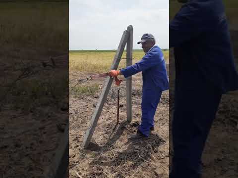 Видео: Как натянуть проволоку на винограднике.