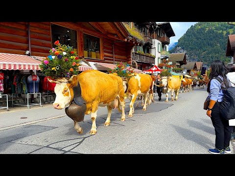 Видео: Долина Лаутербруннен: самая красивая долина Швейцарии 🇨🇭 Прогулка в 4K