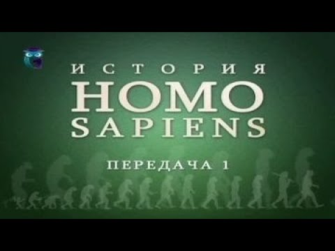 Видео: Эволюция человека. Передача 1. Адам и Ева