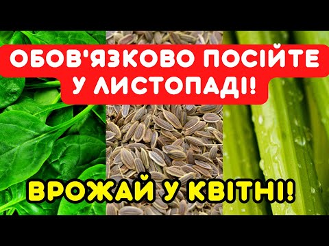 Видео: Сію ще 5 РОСЛИН, а в квітні збираю вітамінний врожай!