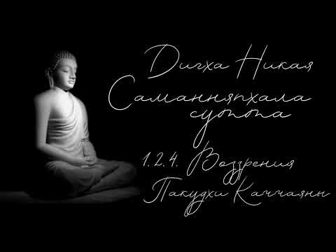 Видео: ДН2 -  1.2.4. Воззрения Пакудхи Каччаяны. Саманняпхала сутта из ДИГХА НИКАЯ