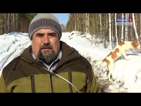 Видео: Про зайцев. Фильм Сергея Герасимова