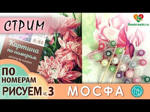 Видео: Раскрашиваем картину по номерам МОСФА "Астры" 3 ЧАСТЬ в прямом эфире! Рисовать просто! Раскраски
