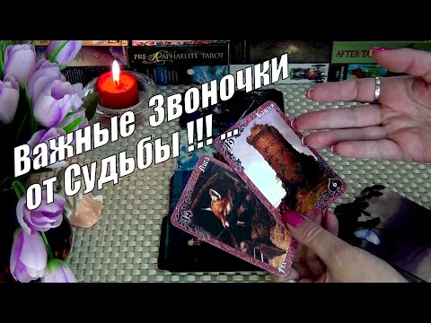 Видео: ОТ ВАС НИЧЕГО НЕ ЗАВИСИТ❗ЗВОНОЧКИ ОТ СУДЬБЫ❗ЧТО БУДЕТ ДАЛЬШЕ❓🍀♥️ Гадание Таро