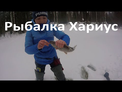 Видео: Рыбалка Хариус.Воды МОРЕ!Снегоход водомет! Рыбалка КОМИ УЛЕТ!