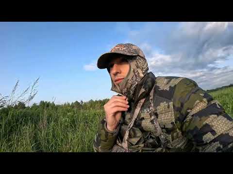 Видео: Охота в Республике Беларусь на косулю/European roe deer hunting in the Belarus