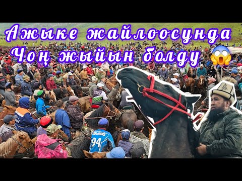 Видео: Ажыке жайлоосунда дүнгүрөгөн улак болду😱 Талант уулдары Тилекмат менен Акматтын бата улагы💥💥💥