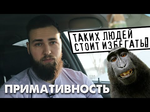 Видео: Примативность / Выбери правильное окружение по этому признаку!