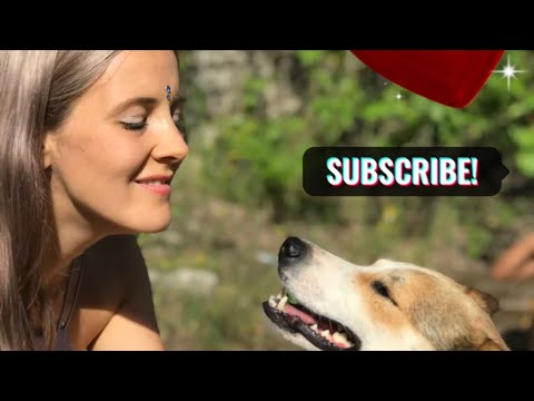 Видео: О гуманности, собаках и как всегда-репетиции🥲