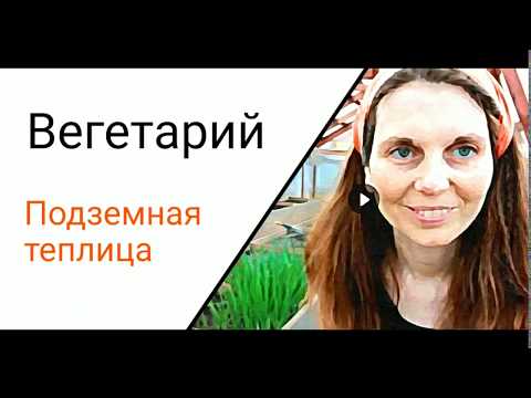 Видео: Вегетарий (подземная теплица-термос)