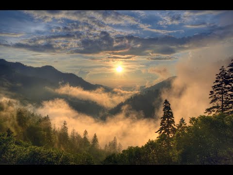 Видео: Энэ ойд нэг юм байна... Үл тайлагдах нууцууд