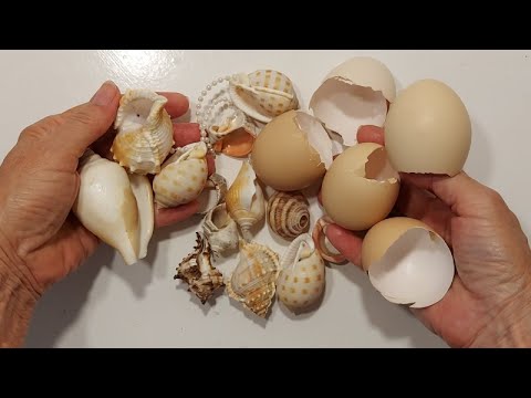 Видео: ЗАЛИВАЮ МОРСКИЕ РАКУШКИ И БИТУЮ СКОРЛУПУ ЯИЦ КЛЕЕМ и ВСЕ КАК С УМА СОШЛИ! ХОТЯТ КУПИТЬ DIYдекор.идеи