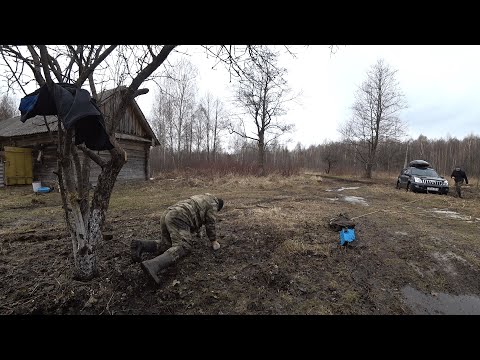 Видео: КУПИЛ ХУТОР в ЛЕСУ на КРАЮ БОЛОТА. ЭТО МОГЛО ПЛОХО КОНЧИТСЯ! ДРУГ ТРАВМИРОВАН! №183