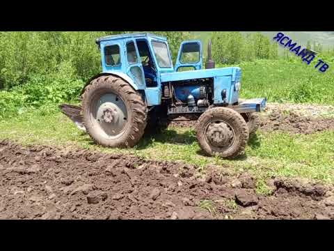 Видео: КИШТИ КАРТОШКАРО САР КАРДЕМ  БАЧАХО 03 06 2024 Г