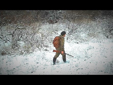 Видео: Охота на зайца как в сказке. Тропление зайца. Проверка льда. Иж-43