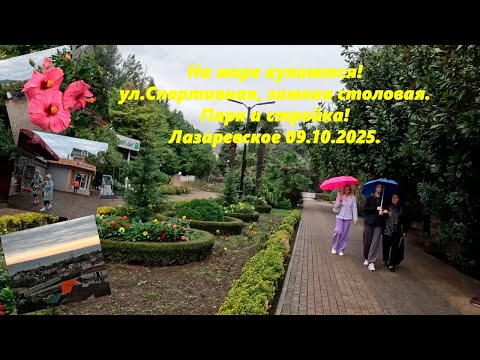 Видео: Зимняя столовая! Парк и ул.Спортивная! а люди еще купаются! Лазаревское 09.10.2025.