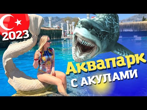 Видео: УДИВИТЕЛЬНЫЙ аквапарк в Анталии. Отдых в Кемере 2023. Кемер Кириш экскурсии Kingdom of Sea  Miarosa