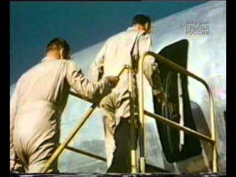 Видео: констеллейшн