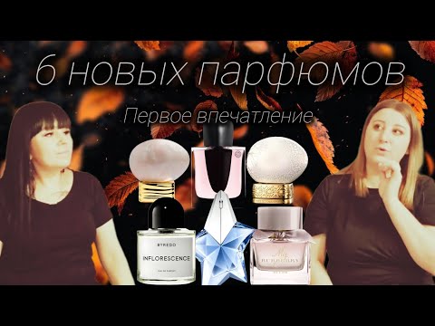 Видео: ШЕСТЬ НОВЫХ ОТЛИВАНТОВ В КОЛЛЕКЦИИ 🍁В ГОСТЯХ У ПОЛИНЫ🖤