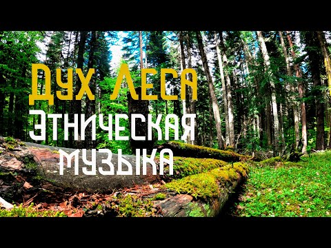 Видео: Дух Леса / Этническая Музыка / Флейта Пимак / Варган / Шаманский Бубен