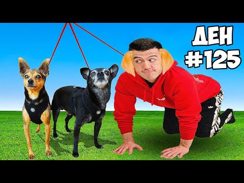 Видео: ОТ РАЖДАНЕ ДО СМЪРТ ЗА 24 ЧАСА, НО СЪМ КУЧЕ | ЕПИЗОД 3 | DOG LIFE SIMULATOR