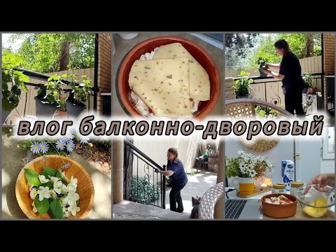 Видео: ЖИЗНЬ 50+/вкусный ЗАВТРАК/КОФЕ тайм/ДЕЛА САДовые#Rugiyavlog