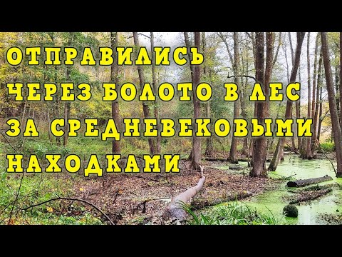 Видео: Отправились через болото в лес за средневековыми находками! Лесной коп.