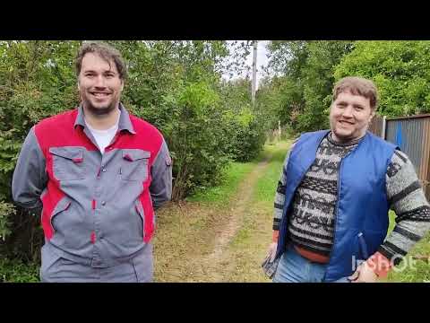 Видео: Абиссиним в Клинском районе.