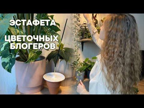 Видео: Эстафета цветочных блогеров и обзор моих лиан (филы, сциндапсусы)