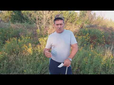 Видео: Анализируем отстрел пыжа-контейнера.