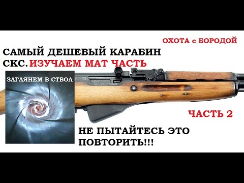 Видео: ОХОТА с БОРОДОЙ. Самый дешевый карабин СКС. Изучаем мат часть. Заглянем в ствол. часть2
