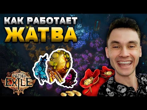 Видео: ГАЙД от НОВИЧКА - ОСНОВА, СКАРАБЫ, АТЛАС и СТРАТЕГИЯ под ХАРВЕСТ - И ПРО СЕВООБОРОТ в ЖАТВЕ PoE 3.26