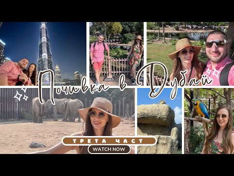 Видео: Почивка в Дубай - част 3️⃣