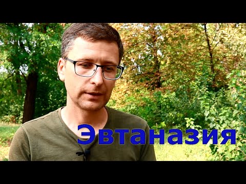 Видео: Гуманное усыпление животных. Эвтаназия