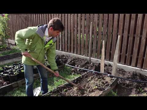 Видео: Подготовка почвы к зиме осенью без переворота пласта.