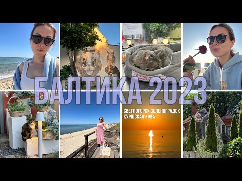 Видео: VLOG: Каникулы на Балтике 2023 | Светлогорск | Зеленоградск | Куршская коса и много-много котиков