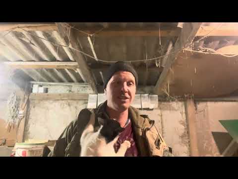 Видео: Свиноводство в Беларуси. Мой взгляд.