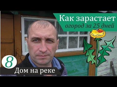 Видео: Дикий огород: 25 дней без человека. Дом на реке, часть 8