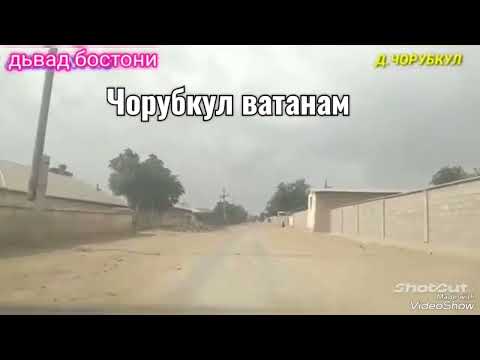 Видео: Чорубкул ватанам лайка бза шерои нар