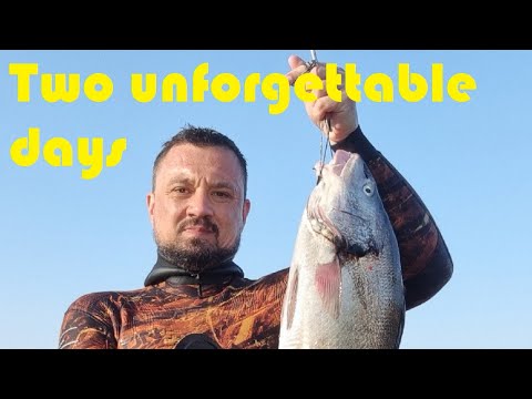 Видео: Два незабравими дни - подводен риболов на минокопи (umbrina cirrosa) в Черно Море