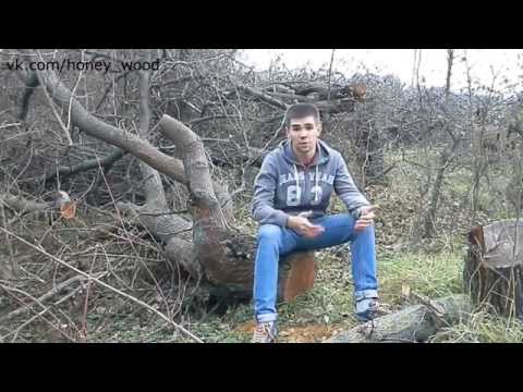 Видео: Заготовка дерева разных сортов