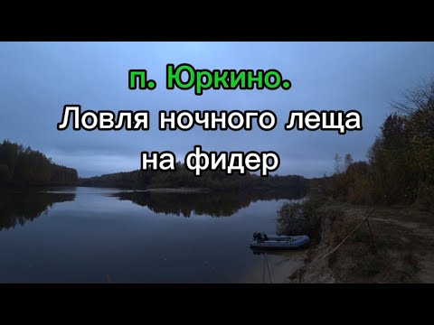 Видео: Клев осеннего леща ночью. Река Ветлуга. Поселок Юркино Марий-Эл.