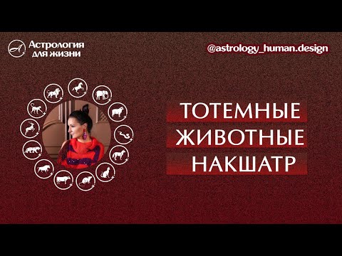 Видео: Архетипы поведения в Джйотиш. Тотемные животные Накшатр.