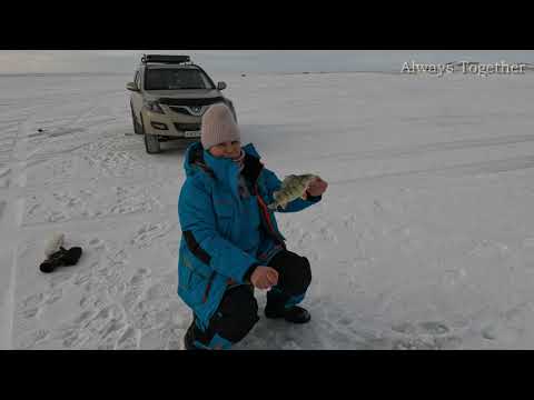 Видео: Зимняя рыбалка на озере и море удовольствия! Супер клев окуня, щуки и плотвы!