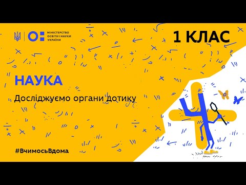 Видео: 1 клас. Наука. Досліджуємо органи дотику (Тиж.5:ЧТ)