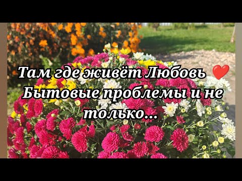 Видео: Бытовые проблемы и не только... #59