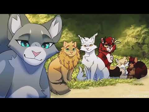 Видео: Коты Воители - Если Ты Бог