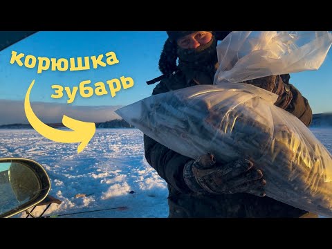 Видео: Рыбалка в Де-Кастри | Корюшка и зубарь на самодуры
