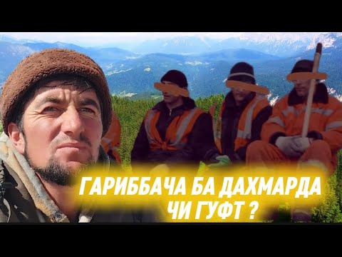 Видео: ГАРИББАЧА БА ДАХМАРДА1999 ЧИ ГУФТ БИНЕН!АЗ КУХУ ПУШТАИ ГАРМ РОХАТ НАМОЕД!ТАМОШОИ ХУБ 2025